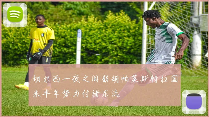 切尔西一夜之间截胡帕莱斯特拉国米半年努力付诸东流